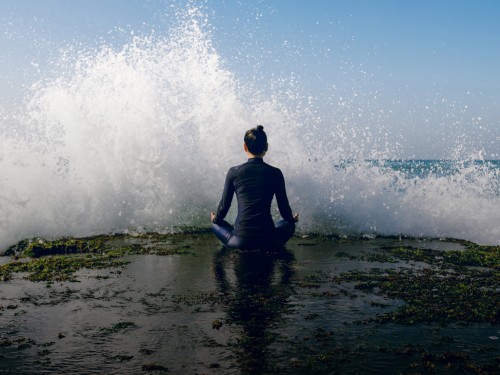 Conheça "Meditar a Consciência"
